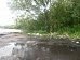 Берег реки Москва в Жуковском очищен от мусора по предписанию Госадмтехнадзора