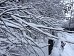 Витушева: в связи со снегопадом Госадмтехнадзор объявил усиление
