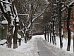 Операция «Снегопад» в Чеховском районе