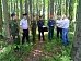 Витушева: За неделю Штаб заставил убрать 69 свалок в лесах
